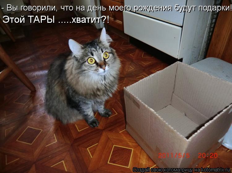 Съем 1 жил 1. Кот хочет есть. Приколы про котов в коробке. Кот и хозяин. Кот и кот Котоматрица.