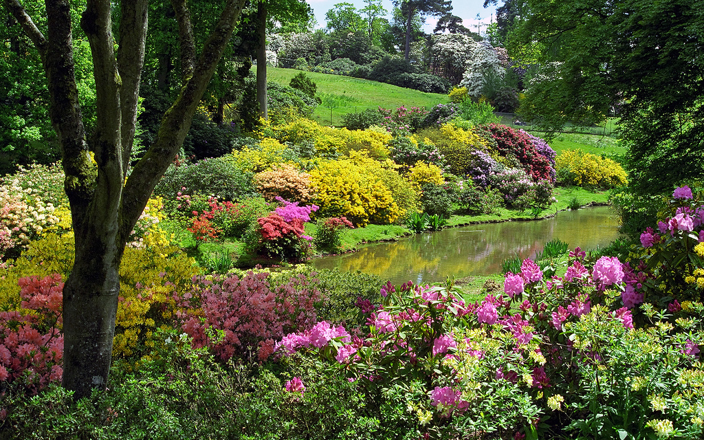 Окружающий мир красота растений. Сад Леонардсли в Англии. Сады в Леонардсли, Великобритания. Леонардсли Гарден рододендрон. _Сад Леонардсли Leonardslee (Англия).